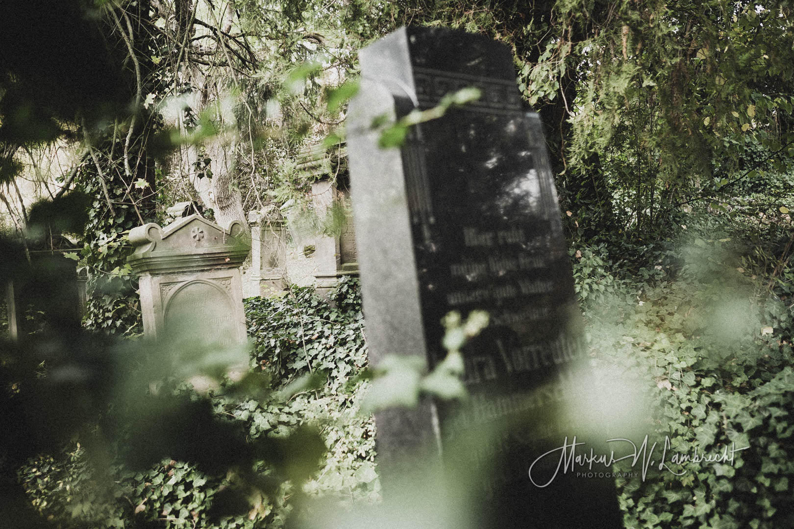 Rimbeck, Jüdischer Friedhof